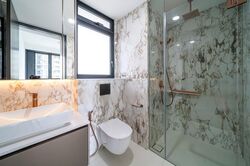 Irwell Hill Residences (D9), Apartment #451600781